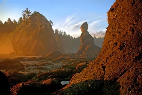 Point Of The Arches Olympic National Park