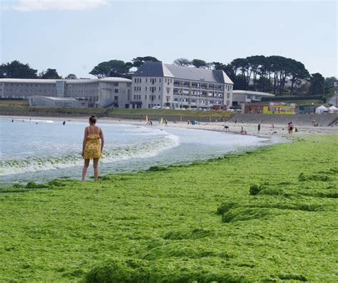 Mar Es Vertes Eau Et Rivi Res De Bretagne