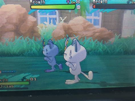 Shiny Meowth Pokémon Amino
