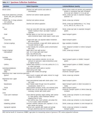 Med Micro Specimen Collection And Micro Examination Flashcards Quizlet