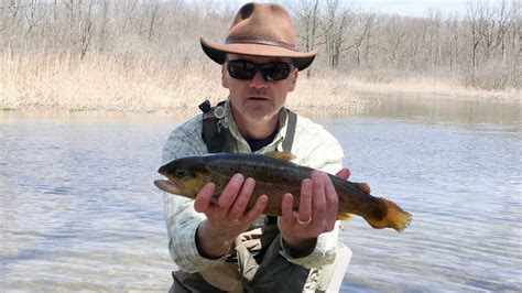 Unlocking The Secrets Of Fly Fishing For Stocked Trout Guide Recommended