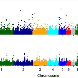 Genome wide distributions of selection signals a π ratio contrasting