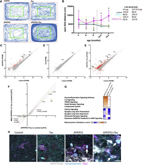 Amyloid Beta And Tau Cooperate To Cause Reversible Behavioral And Transcriptional Deficits In A