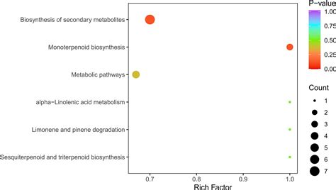 Frontiers Characterization Of Volatiles In Flowers From Four Rosa