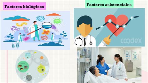 Factores Determinantes De La Salud Enfermedad Youtube