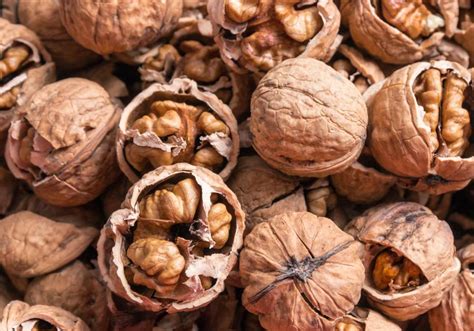 Un Estudio Revela Que Comer Nueces Podr A Beneficiar El Desarrollo