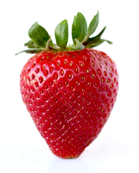 strawberry growing tips grow big juicy strawberries