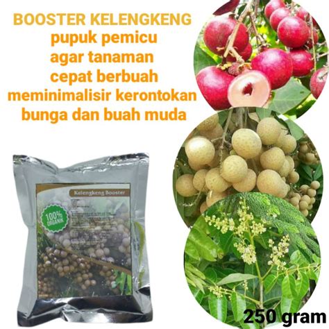 Jual Pupuk Booster Kelengkeng Agar Cepat Berbuah Lebat Mencegah