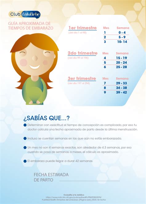 Tu Calendario De Embarazo Semanas Y Meses Enfabebé