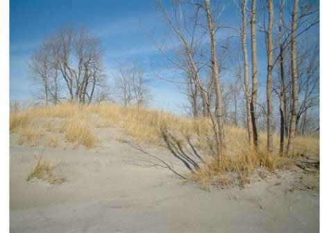 Long Point Provincial Park Beach – Amazing Places