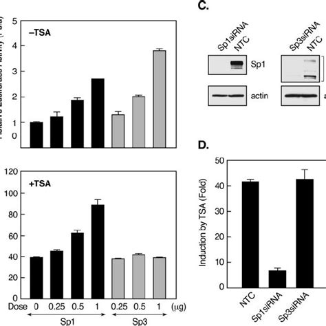 The PKC Pathway Is Involved In TSA Induced LHR Gene Activation A