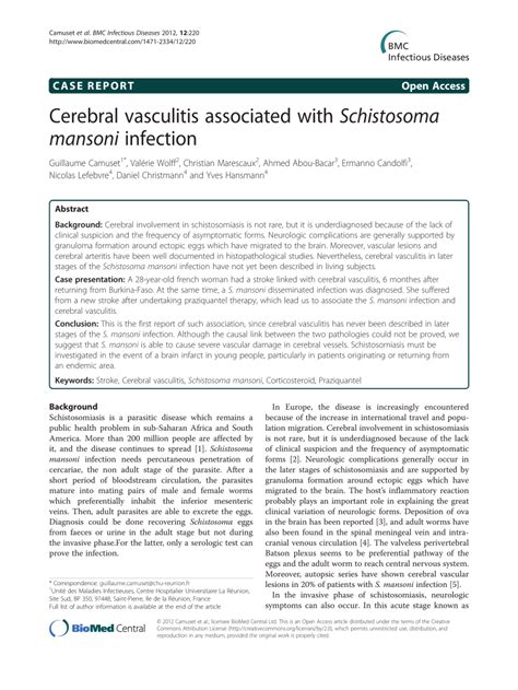 Pdf Cerebral Vasculitis Associated With Schistosoma Mansoni Infection