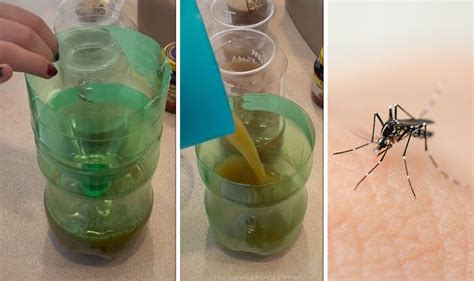 How To Create Easy Mosquito Trap At Home With Three Household Items