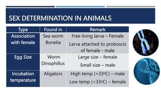 Sex Determination Linkage Pptx