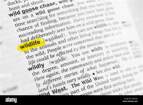 Highlighted English word "wildlife" and its definition at the ... 