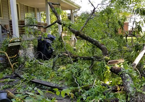 Storm Damage Cleanup - Price's Tree Service, LLC