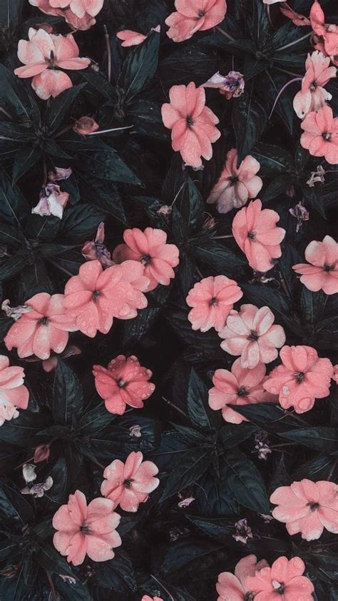 √ Tumblr Flower Wallpaper