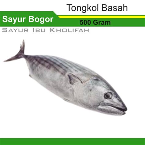 Jual Ikan Tongkol Basah Segar 500 Gram Ikan Segar Bogor Shopee Indonesia