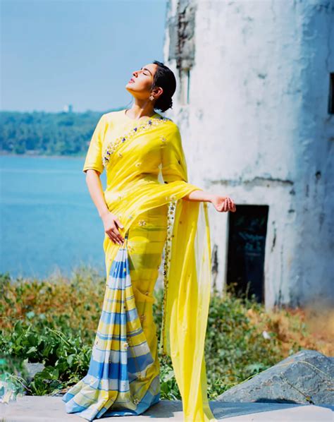 Sara Ali Khan Hot Poses Donning Saree