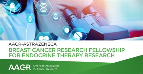 Apply For The Aacr Astrazeneca Breast Cancer Fellowship For Endocrine Therapy Research Oncodaily