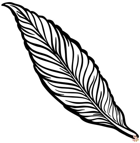 Páginas Para Colorear De Plumas Gratis Para Niños Gbcoloring