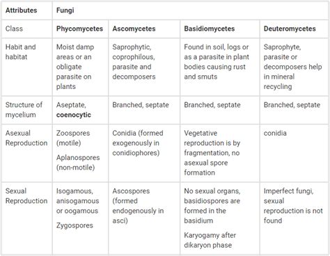 Important Notes For Neet Biological Classification Neet Notes Edurev