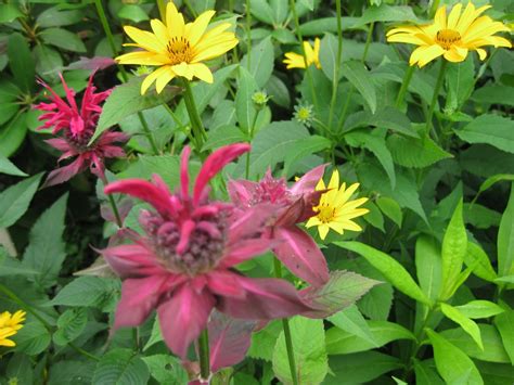 PORCH SITTING TIME: Take some time to smell the Flowers