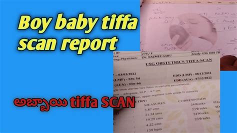 Boy Baby Tiffa Scan Report Baby Boy Scan Reports Youtube