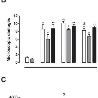 Effects Of FSG Treatment On The Severity Of TNBS Induced Colitis A