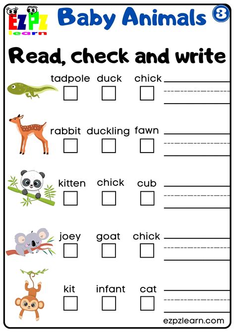 Asia Esl Worksheet By Maan1101 Worksheets Library