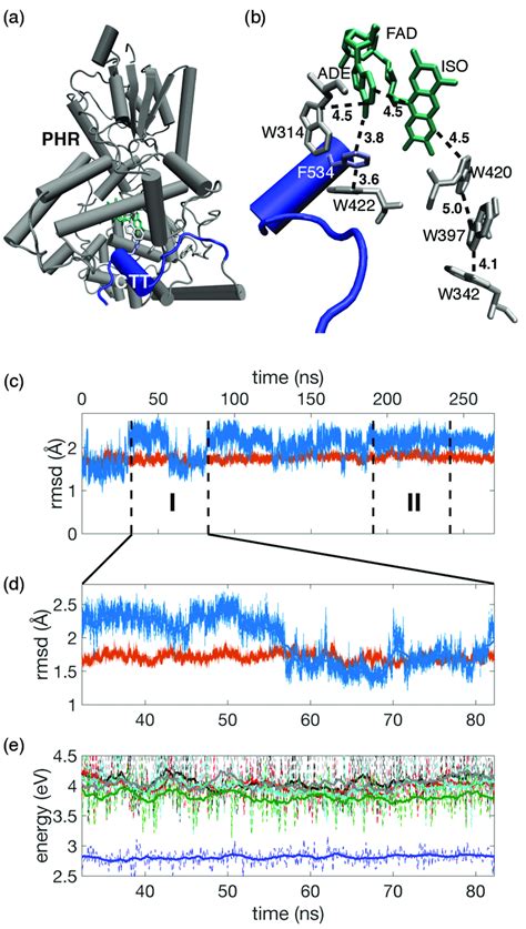 A Structure Of Drosophila Cryptochrome Dcry C Terminal Tail Ctt