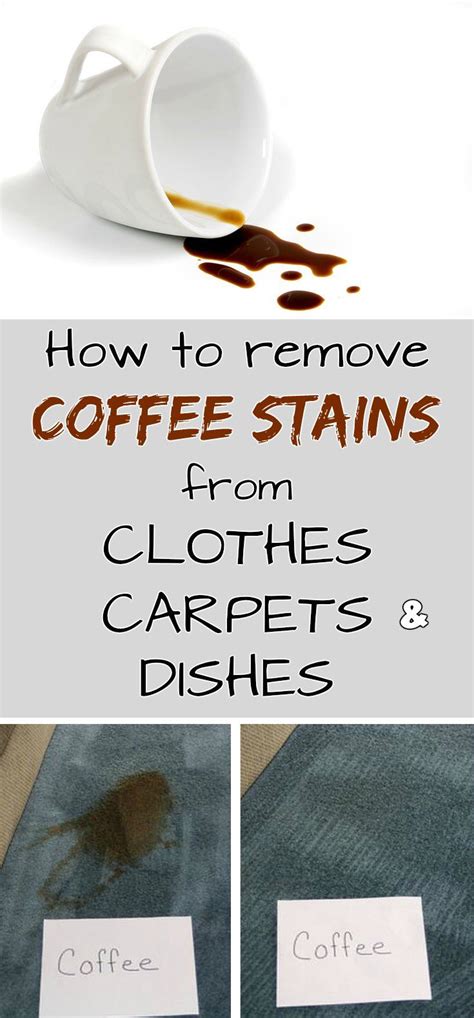 How To Remove Coffee Stains From Clothes Carpets And Dishes Coffee