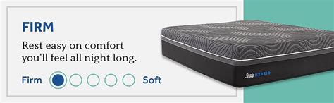 Sealy Hybrid Premium 14 Inch Firm Mattress Full