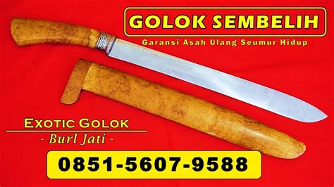 0851 5607 9588 Golok Sembelih Bandung Jogja Banten Ciwidey Ciomas