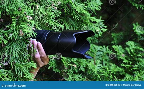 A Woman Hiding In The Bushes Takes Pictures With A Camera And Spies On