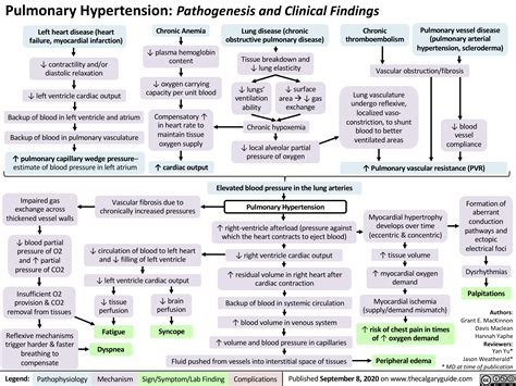 Pulmonary Hypertension Pathogenesis And Clinical Findings Calgary Guide