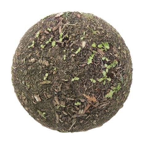 Dirt with Plants and Sticks PBR Texture