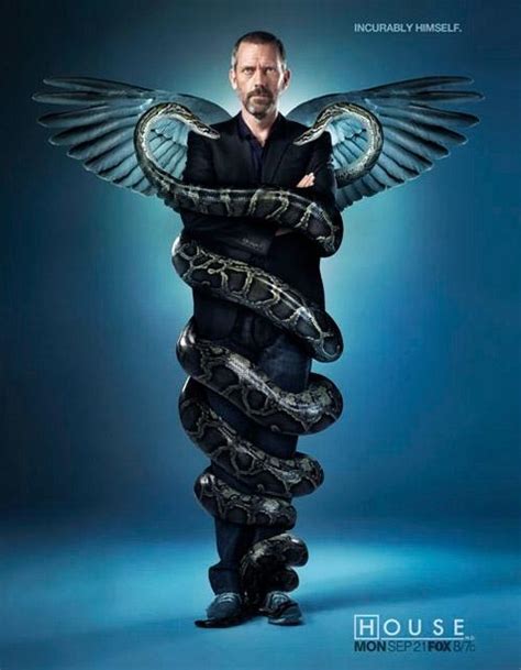 Dr House Mi Ange Miserpent À Découvrir