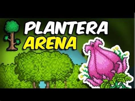 TERRARIA EXPERT EP 16 PREPARANDO A ARENA PARA OBLITERAR A PLANTERA