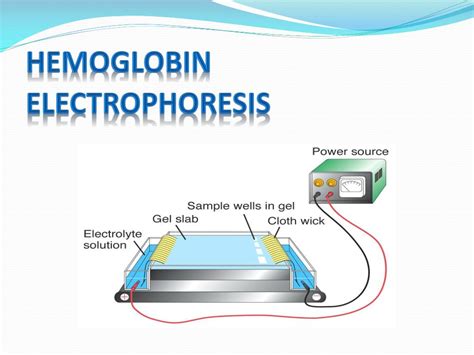 Hemoglobin Electrophoresis Test