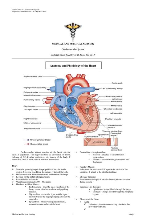 Cardiovascular System