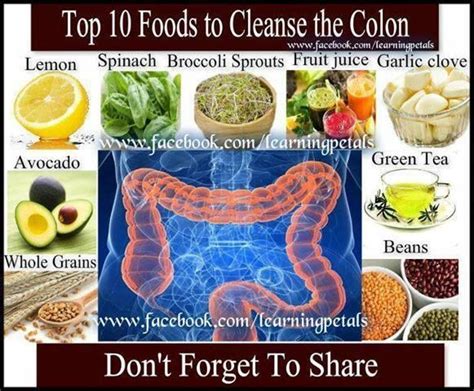 Colon Cleansing Foods Chart Short Article On Top Foods For A Clean