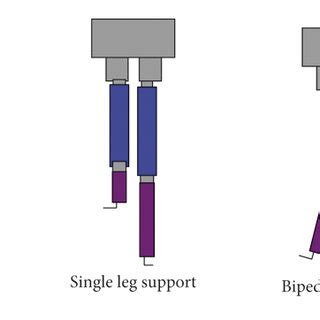 Biped robot walking model construction diagram. | Download Scientific ...