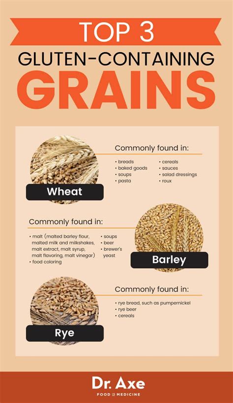 Food Infographic Top 9 Gluten Free Grains Your Number One Source For