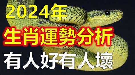 2024生肖運勢分析，十二生肖運勢運程大分析，屬蛇、屬羊、屬虎、屬龍、屬豬、屬鼠有人好有人壞，有人求財得財，財運之門大開，財神爺眷顾，屬蛇生肖