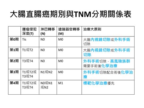 大腸直腸癌怎麼分期？怎麼治療？ 照護線上 深受信賴的醫療媒體