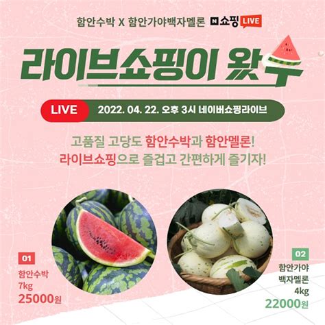 함안군 4월 22일 ‘함안수박·멜론 라이브커머스 진행 매일경제