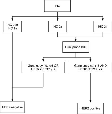 Her2 Testing In Advanced Gastric And Gastro Oesophageal Cancer