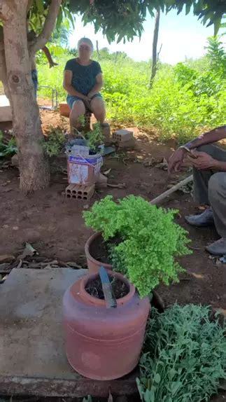 Dominando Tudo A História de uma Mulher que Conqu Kwai