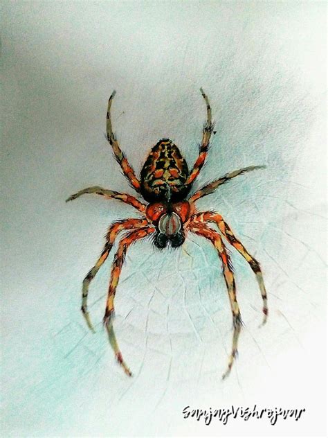 Spider Painting By Sanjay Vishrojwar Fine Art America